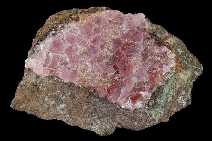 Cobaltoan Calcite Crystal Cluster - Bou Azzer, Morocco #161172